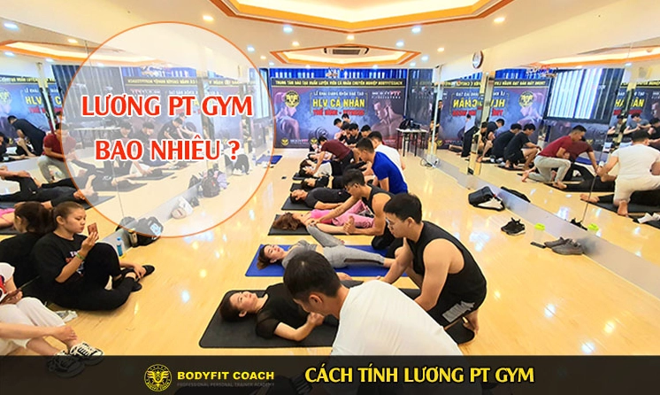 Lương PT Gym 2026: Hướng Dẫn Tính Lương Chi Tiết Cho Huấn Luyện Viên