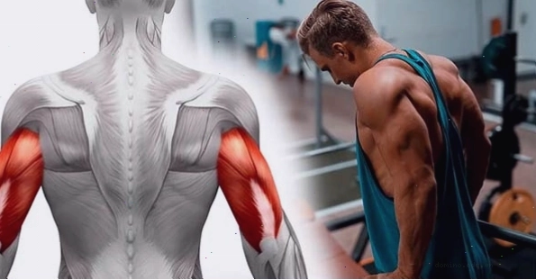 Lưu ý quan trọng khi tập kết hợp các nhóm cơ