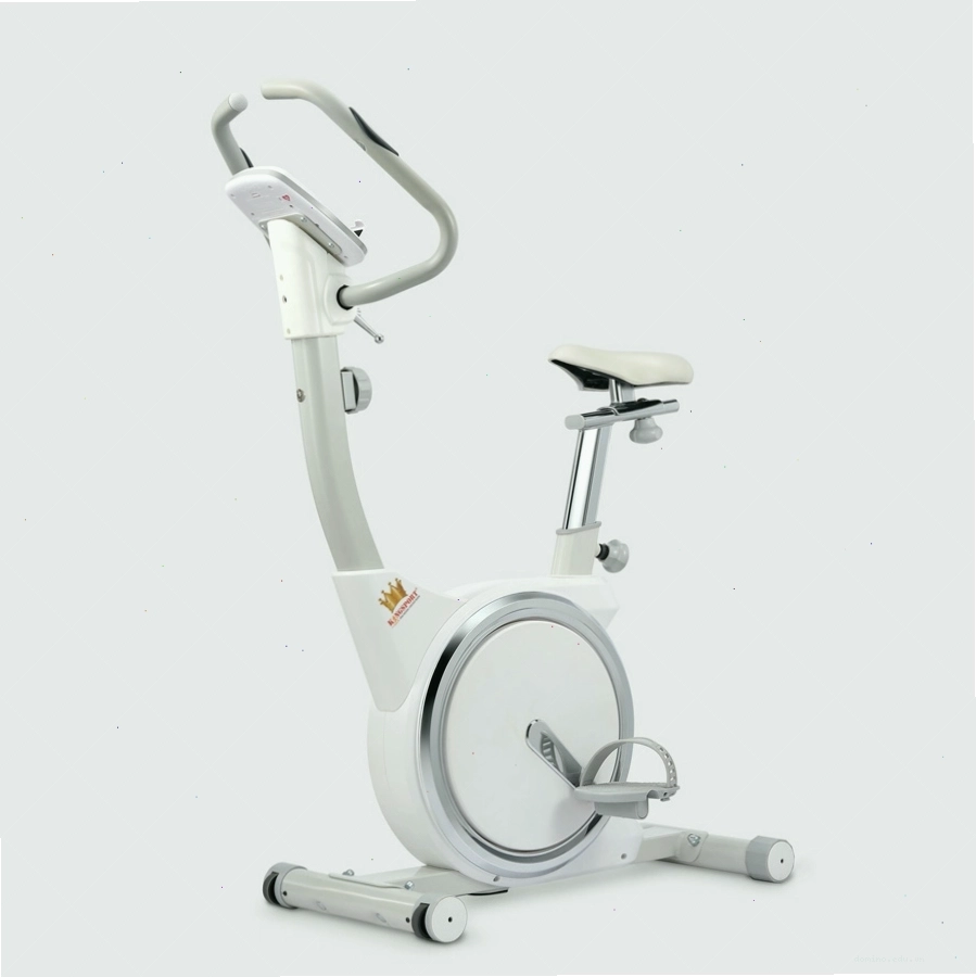 Màn hình hiển thị thông minh trên xe đạp tập Kingsport KS-102