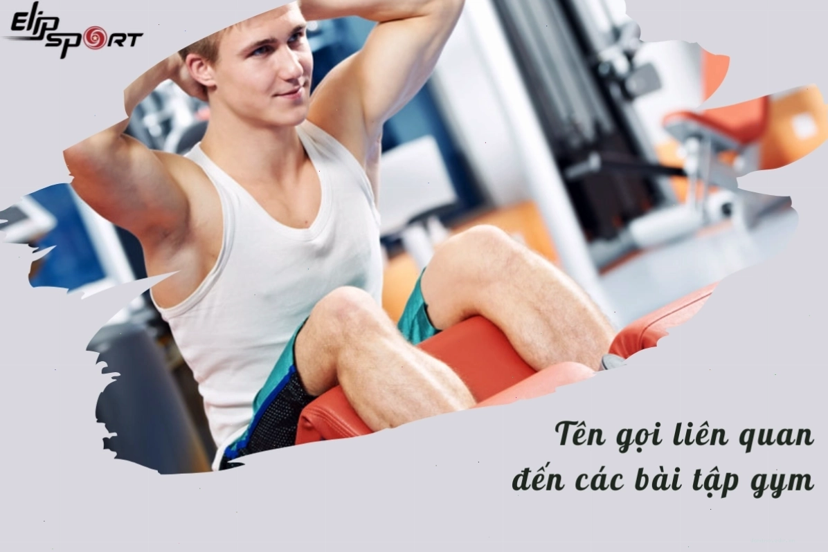 Máy chạy bộ (treadmill) là thiết bị cardio phổ biến nhất