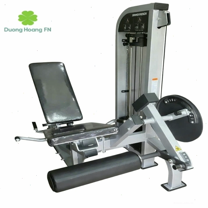 Máy Đá Và Cuộn Đùi 2in1 DHFN – Giải Pháp Tập Chân Toàn Diện Tại Nhà