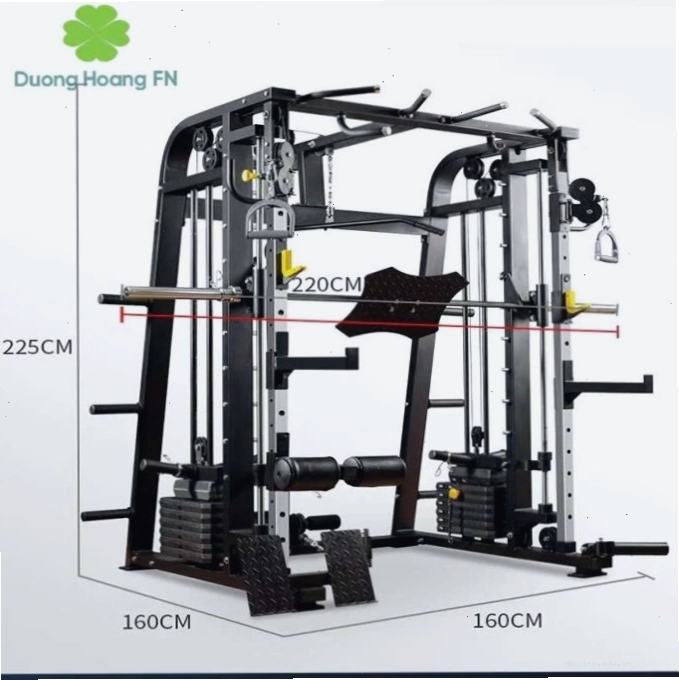 Máy Hip Thrust DHFN – Thiết bị tập mông hiệu quả, tăng vòng 3 nhanh chóng
