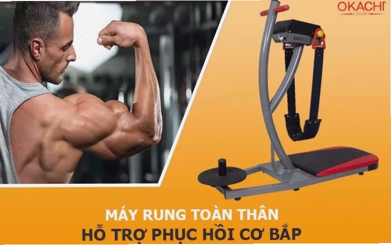 Máy rung toàn thân hỗ trợ phục hồi cơ bắp sau tập luyện