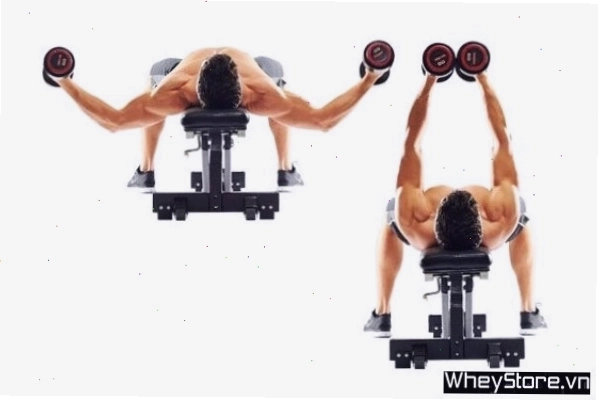 Máy tập bướm (butterfly machine) cho cơ ngực