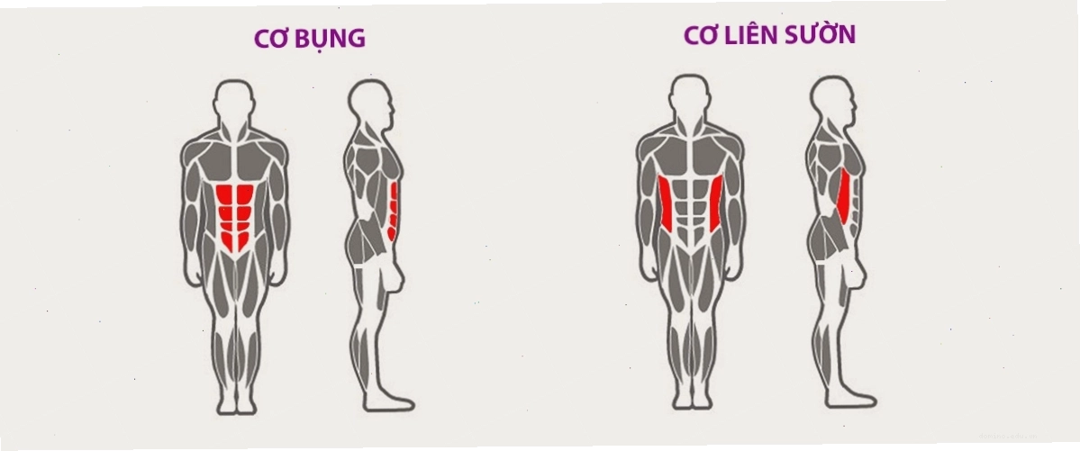 Máy tập các nhóm cơ bụng đa năng