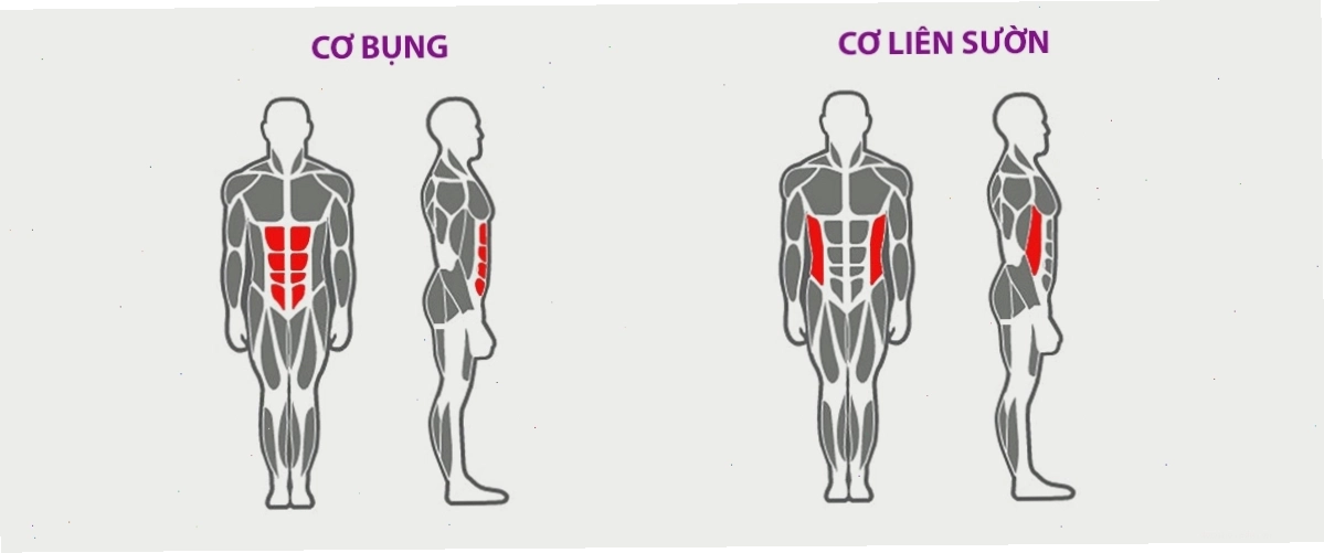 Máy tập các nhóm cơ bụng hiệu quả