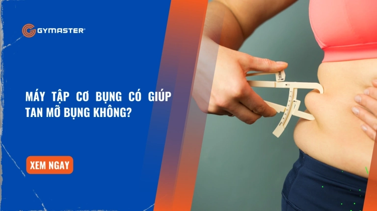 Máy tập cơ bụng tan mỡ: Đánh giá hiệu quả thực tế 2026