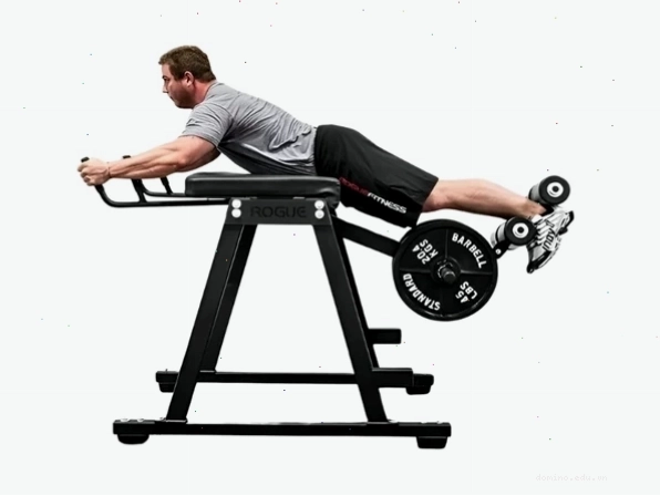 Máy tập lưng dưới Reverse Hyperextension