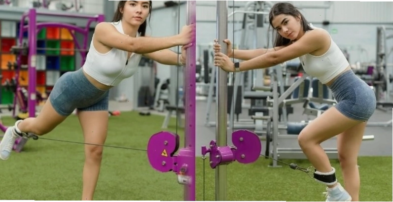 Máy tập mông Glute Kickback