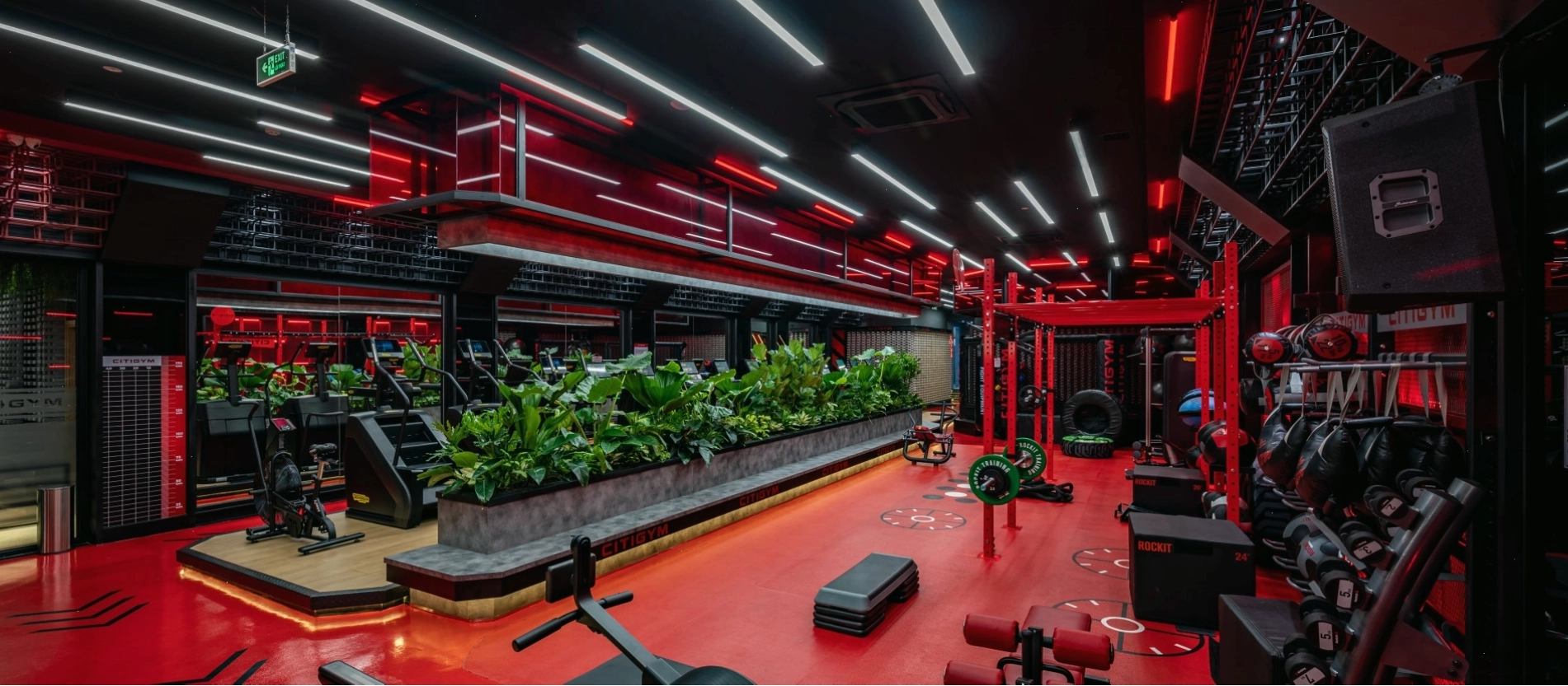 Máy tập Technogym hiện đại tại Citigym
