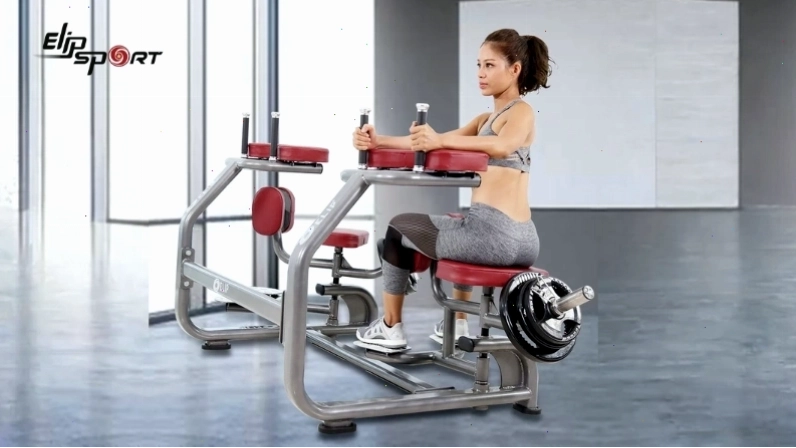 Máy tập xoay eo Elip E2102