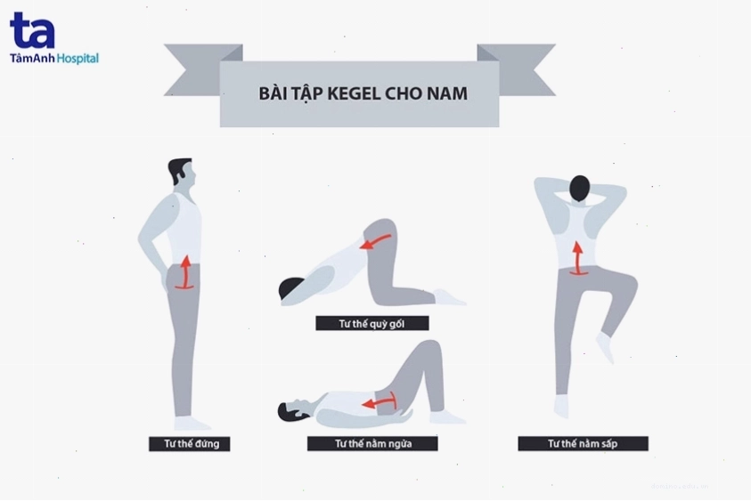 Minh họa bài tập Kegel cho nam giới