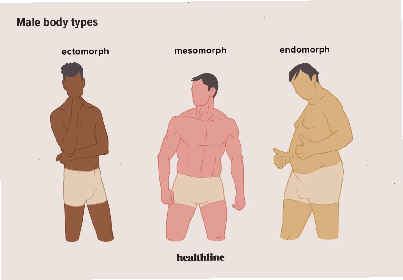 Minh họa các loại cơ thể nam giới: Ectomorph, Mesomorph, Endomorph