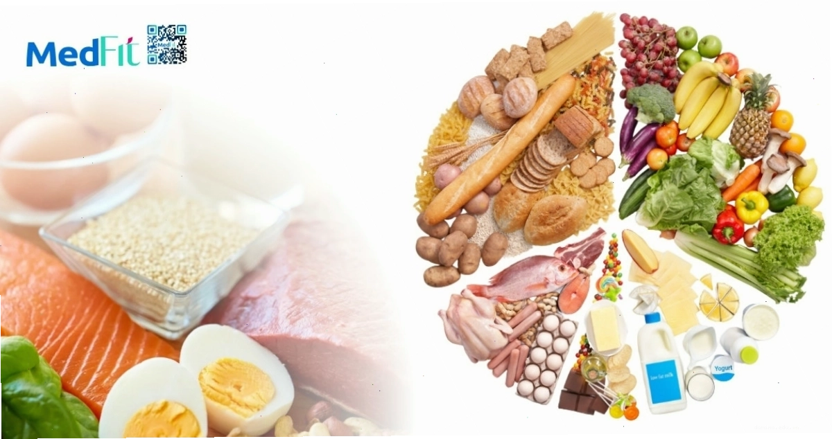Minh họa các nhóm chất dinh dưỡng: đạm, tinh bột, chất béo