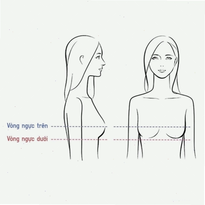 Minh họa cách đo vòng ngực trên và vòng ngực dưới