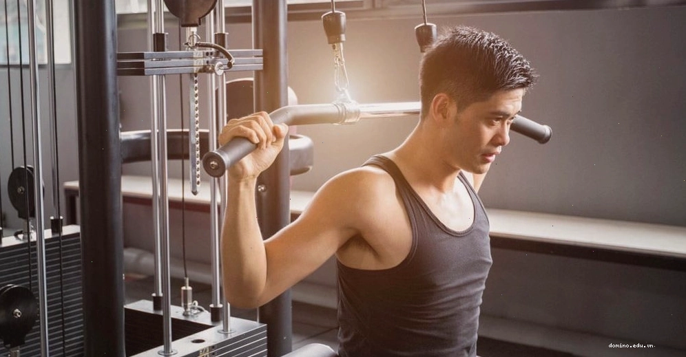 Minh họa lịch tập gym khoa học cho người mới bắt đầu với sự phân bổ hợp lý