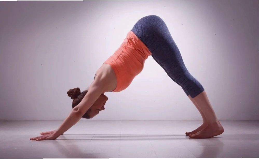 Một người tập yoga sử dụng khối gỗ để hỗ trợ trong tư thế Chiến binh II (Virabhadrasana II)