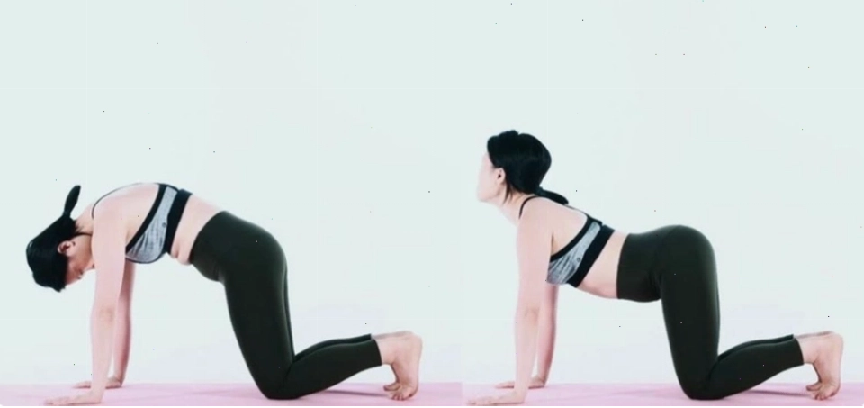 Một số tư thế yoga giúp giảm cơn đau lưng dưới