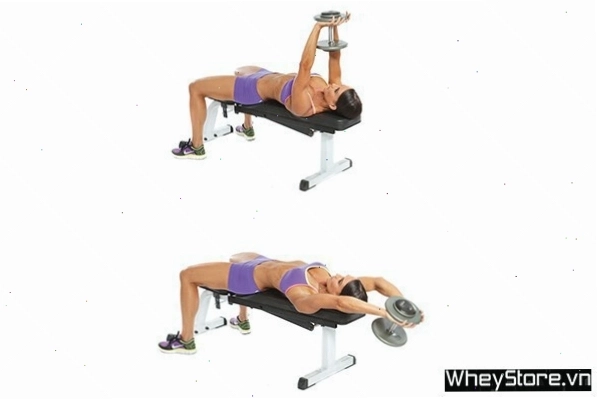 Nằm dang tạ đôi (Dumbbell Flyes) tác động cơ ngực ngoài