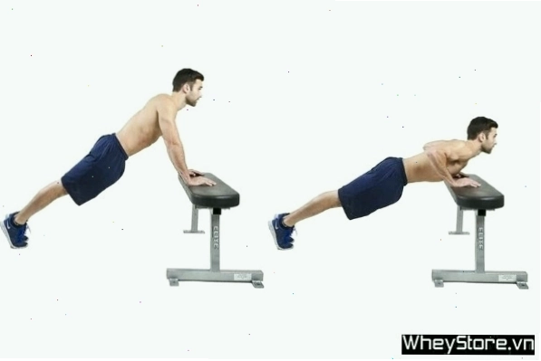 Nằm đẩy tạ đôi Dumbbell Bench Press cho cơ ngực săn chắc