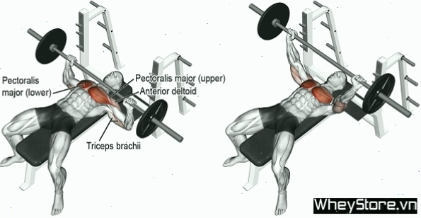Nam giới thực hiện bài tập kéo xà đơn để tăng cường cơ lưng