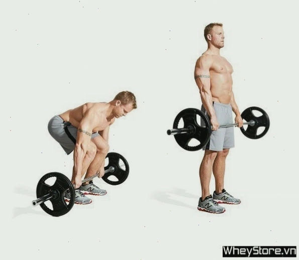 Nam giới thực hiện bài tập Squat với tạ đòn
