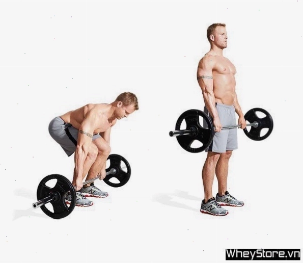 Nam giới thực hiện Barbell Squat với tạ đòn