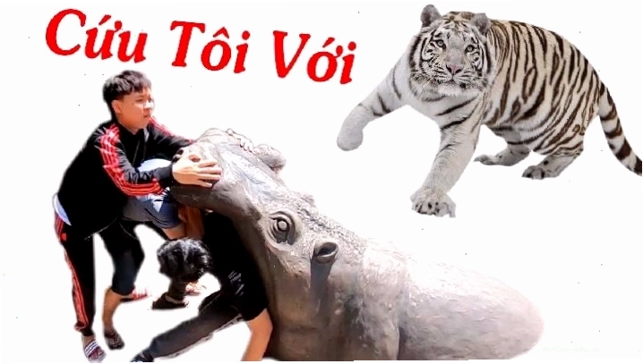 Nam sinh trường Luật với thành tích học tập tốt