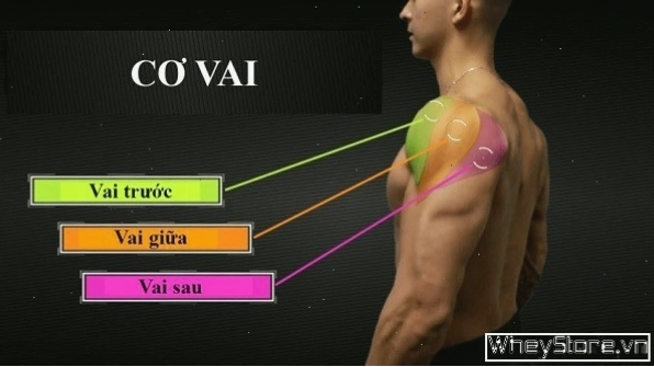 Nâng tạ đơn chéo mặt tập trung vào vai trước