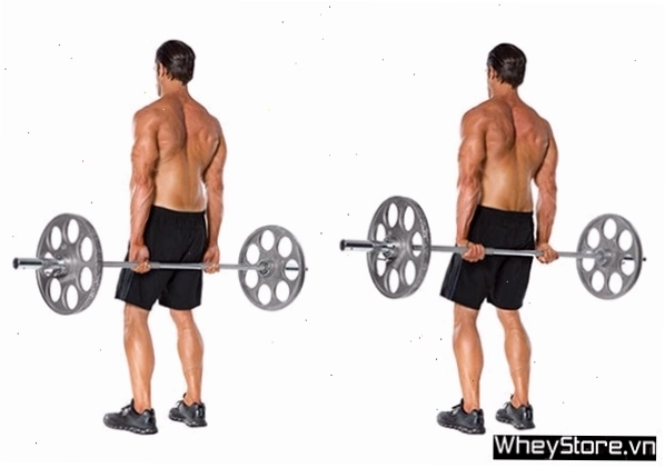 Ngồi gập cổ tay với tạ đơn cho cổ tay to và chắc khỏe