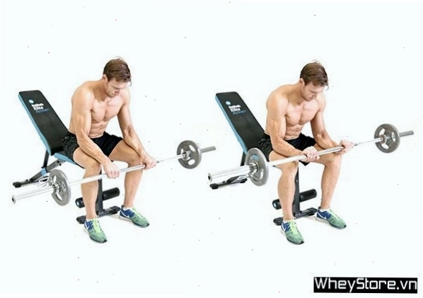 Ngồi gập cổ tay với tạ đơn để tăng kích thước cổ tay