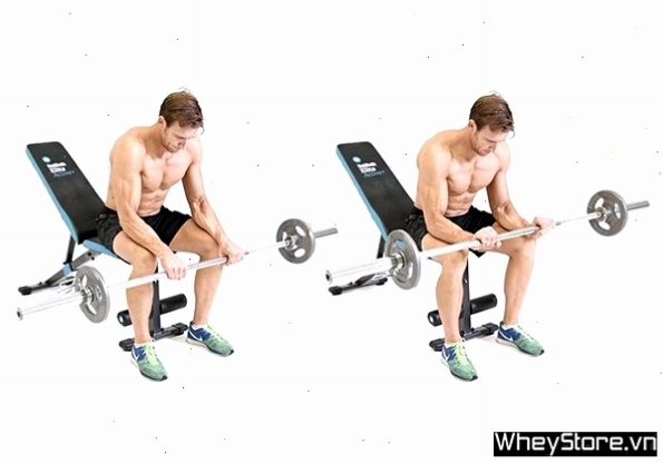Ngồi gập cổ tay với tạ đơn lòng bàn tay hướng lên
