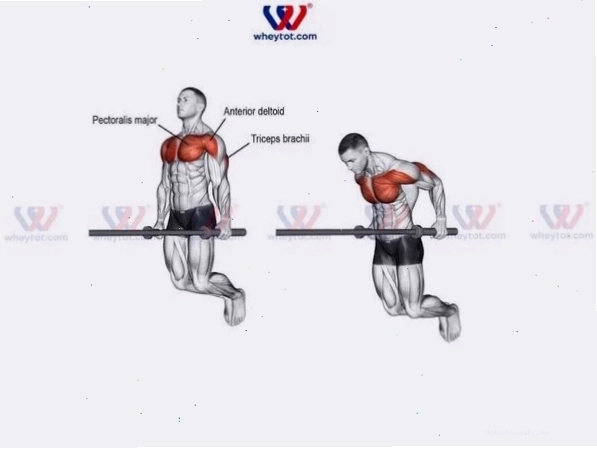 Người đàn ông tập bài tập ngực dưới với xà kép