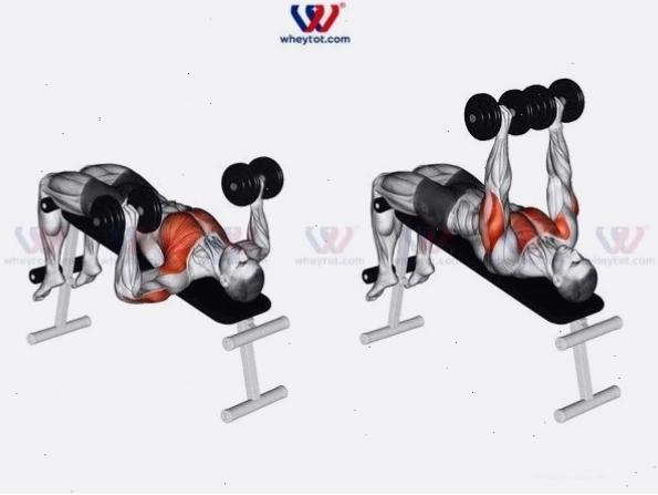Người đàn ông tập ép tạ đơn trên ghế dốc xuống