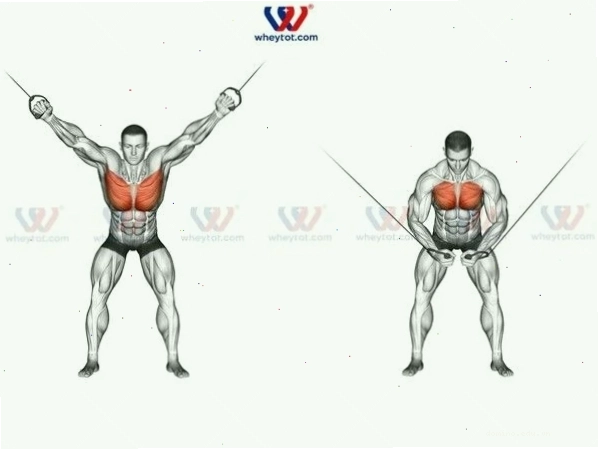 Người đàn ông tập ngực dưới với máy xô bay