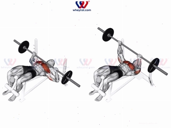 Người đàn ông thực hiện bài tập ngực dưới với tạ đơn trên ghế dốc