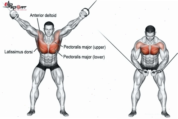 Người đang ngồi sử dụng máy đẩy ngực tại phòng gym