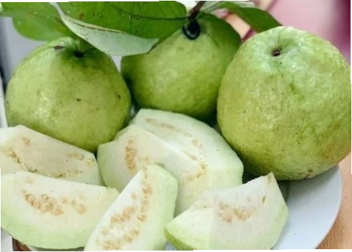 Người dùng không nên ăn ổi quá chín hoặc chưa chín