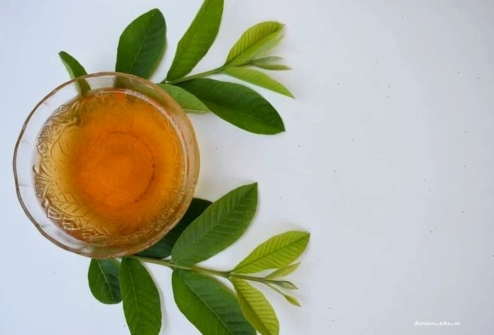 Người phụ nữ đang thưởng thức một tách trà lá ổi ấm nóng, thể hiện sự thư thái và khỏe khoắn