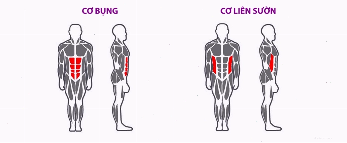 Người phụ nữ sử dụng máy tập cơ bụng đa năng tại nhà