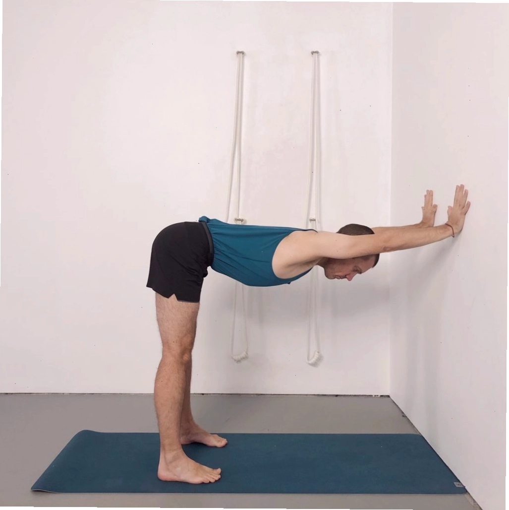 Người tập ở tư thế Chó úp mặt (Downward Facing Dog)