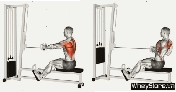 Người tập thực hiện bài Deadlift trong lịch tập gym 4 buổi