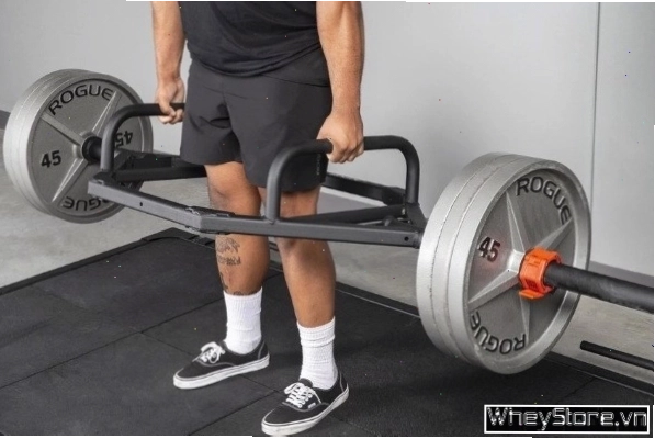 Người tập thực hiện bài Dumbbell Row một tay