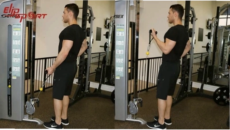 Người tập thực hiện bài tập cơ xô với cáp (Reverse Grip Lats Pulldown)