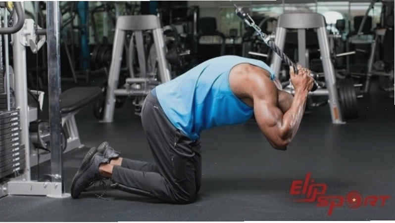 Người tập thực hiện bài tập đứng kéo cáp tập lưng xô (Straight Arm Pulldown)