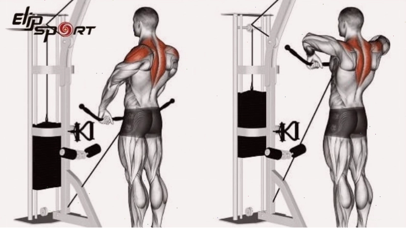 Người tập thực hiện bài tập kéo cáp tập vai sau (Cable Upright Row)
