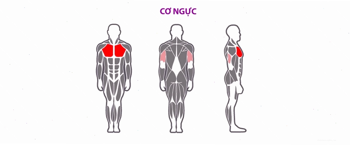 Người tập thực hiện bài tập ngồi đẩy ngực với giàn tạ khối