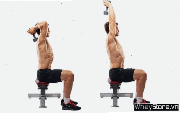 Người tập thực hiện bài tập ngồi đẩy tạ qua đầu