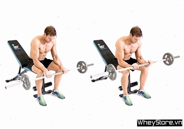 Người tập thực hiện bài xách tạ đi bộ để tăng cường sức mạnh cánh tay và cẳng tay