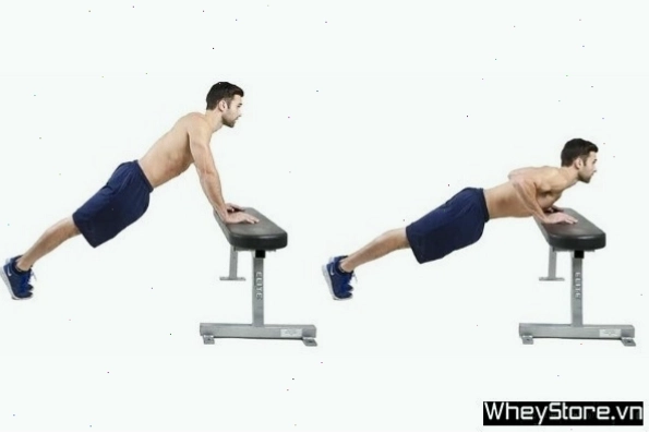Người tập thực hiện Decline Push Up với chân đặt trên ghế